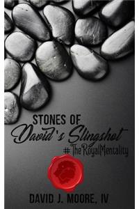 Stones of David's Slingshot