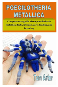 Poecilotheria Metallica