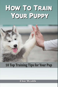 How To Train Your Puppy