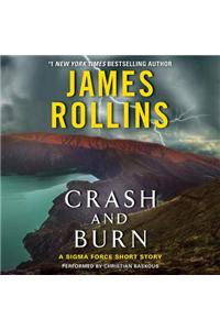 Crash and Burn