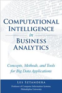 Computational Intelligence in Business Analytics