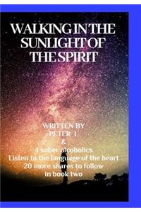 Walking in the sunlight of the spiritJourneys in sobriety