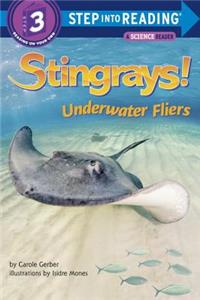 Stingrays!