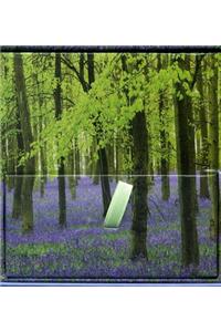 Memo Block - Bluebells