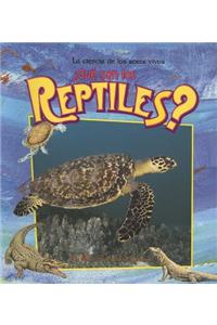 ¿Qué Son Los Reptiles? (What Is a Reptile?)