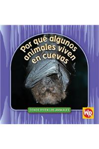 Por Qué Algunos Animales Viven En Cuevas (Why Animals Live in Caves)