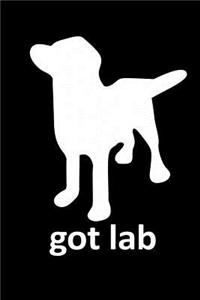 Got Lab?: Notebook Journal Diary 110 Lined pages