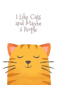 I Like Cats and Maybe 3 People