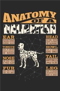 Anatomy Of A Dalmatian