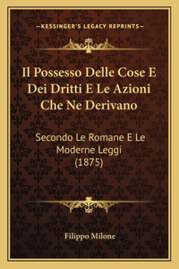 Possesso Delle Cose E Dei Dritti E Le Azioni Che Ne Derivano