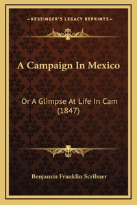 A Campaign In Mexico