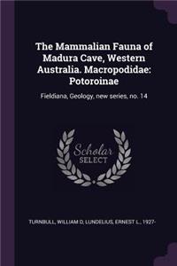 The Mammalian Fauna of Madura Cave, Western Australia. Macropodidae