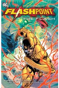 Flashpoint: The World of Flashpoint Featuring the Flash