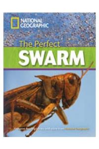 The Perfect Swarm + Book with Multi-ROM
