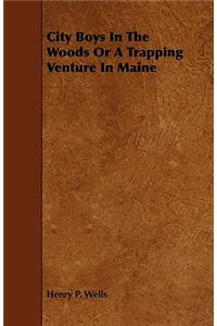 City Boys In The Woods Or A Trapping Venture In Maine