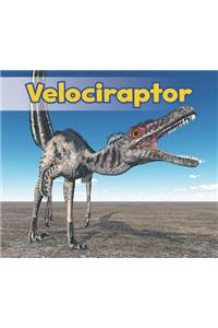 Velociraptor