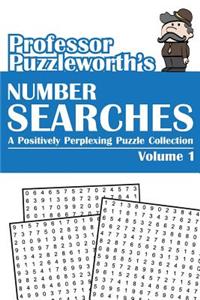 Professor Puzzleworth's Number Searches