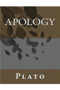Apology