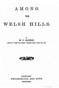 Among the Welsh hills