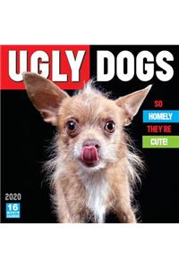 2020 Ugly Dogs
