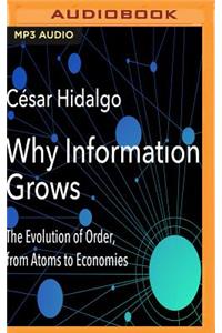 Why Information Grows