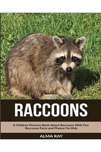 Raccoons