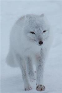 Polar Fox Journal