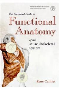 The Illustrated Guide to Functional Anatomy of the Musculoskeletal System