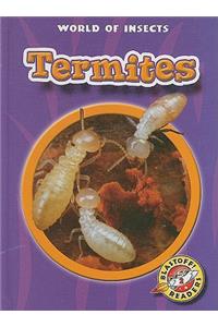 Termites