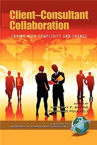 Client-Consultant Collaboration
