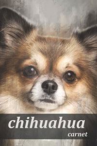 chihuahua carnet