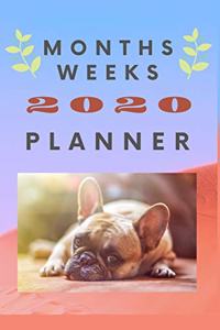Months Weeks 2020 Planner