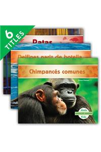 Animales Amigos (Animal Friends) (Spanish Version) (Set)