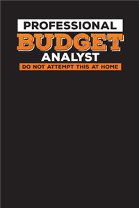 Professional Budget Analyst Do Not Attempt This At Home