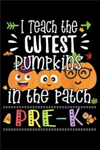I teach the cutest pumpkins in the patch Pre-K