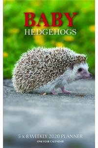 Baby Hedgehogs 5 x 8 Weekly 2020 Planner