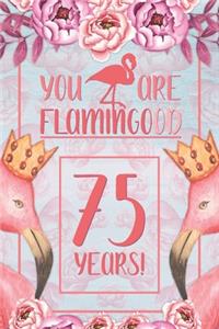 75th Birthday Journal