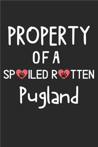 Property Of A Spoiled Rotten Pugland