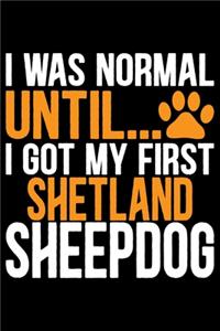 I Was Normal Until I Got My First Shetland Sheepdog