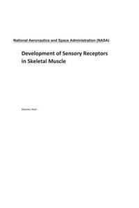 Development of Sensory Receptors in Skeletal Muscle