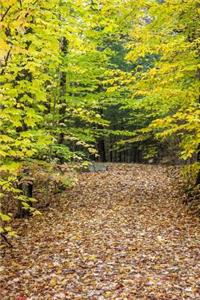 Journal Pretty Fall Leaves Autumn Path
