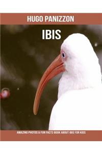 Ibis: Amazing Photos & Fun Facts Book about Ibis for Kids