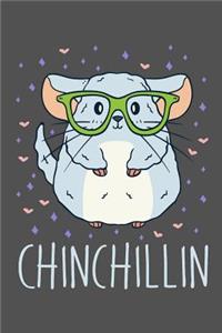 Chinchillin