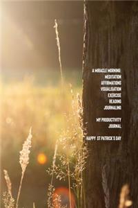 A Miracle Morning Meditation Affirmations Visualisations Exercise Writing Journaling My Productivity Journal