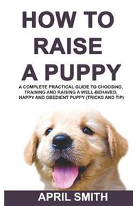 How to Raise a Puppy