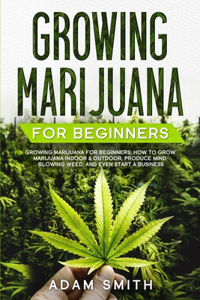 Growing Marijuana For Beginners