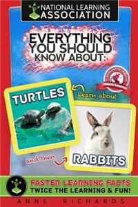 Everything You Should Know About