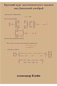 Crash Course in Calculus over Banach Algebra (Russian Edition)