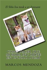 Como Hacer que Mi Shiba Inu Orine en un Solo Lugar