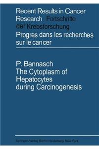 Cytoplasm of Hepatocytes During Carcinogenesis